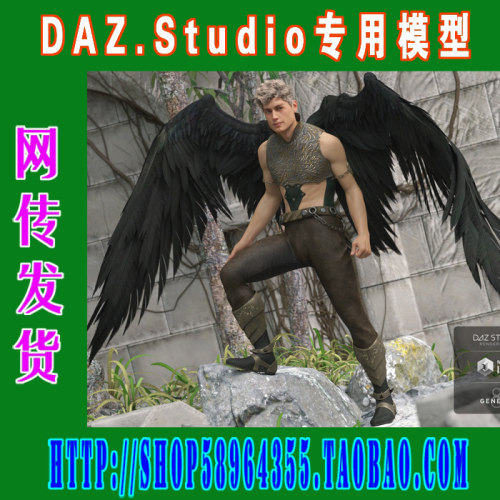 daz3d studio模型素材Genesis3与Genesis8通用翅膀三则(3M-224)