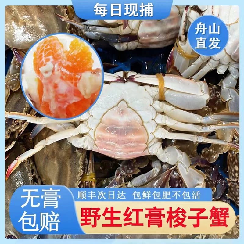 【保鲜不保活】舟山梭子蟹母蟹红膏蟹新鲜白蟹飞蟹海鲜水产顺丰