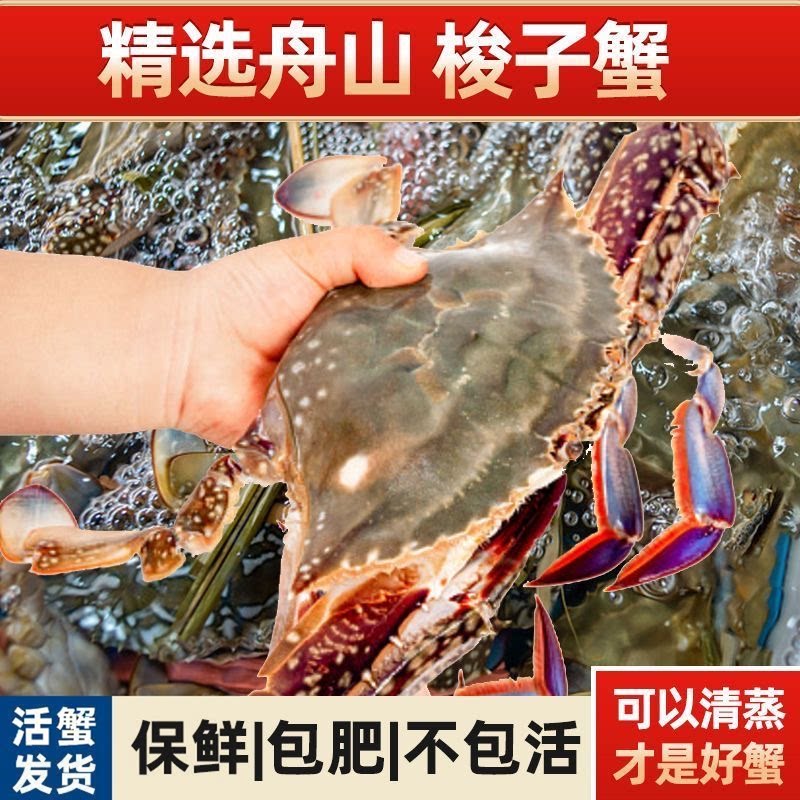 【保鲜不保活】舟山梭子蟹活发海梭子蟹