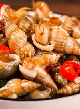 麻辣海瓜子海螺丝即食罐头熟食