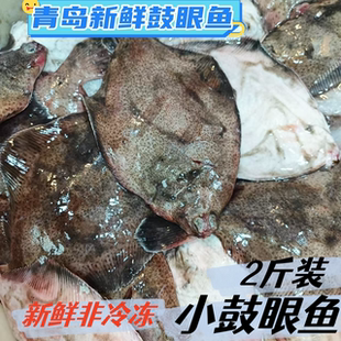 青岛本地鼓眼鱼新鲜小嘴鱼小偏口鱼2斤装