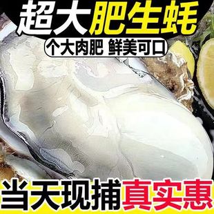 生蚝鲜活带箱5斤特大牡蛎肉海蛎子海新鲜非乳山生蚝水产商用海鲜