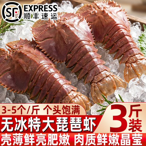 无冰特大冷冻琵琶虾批发