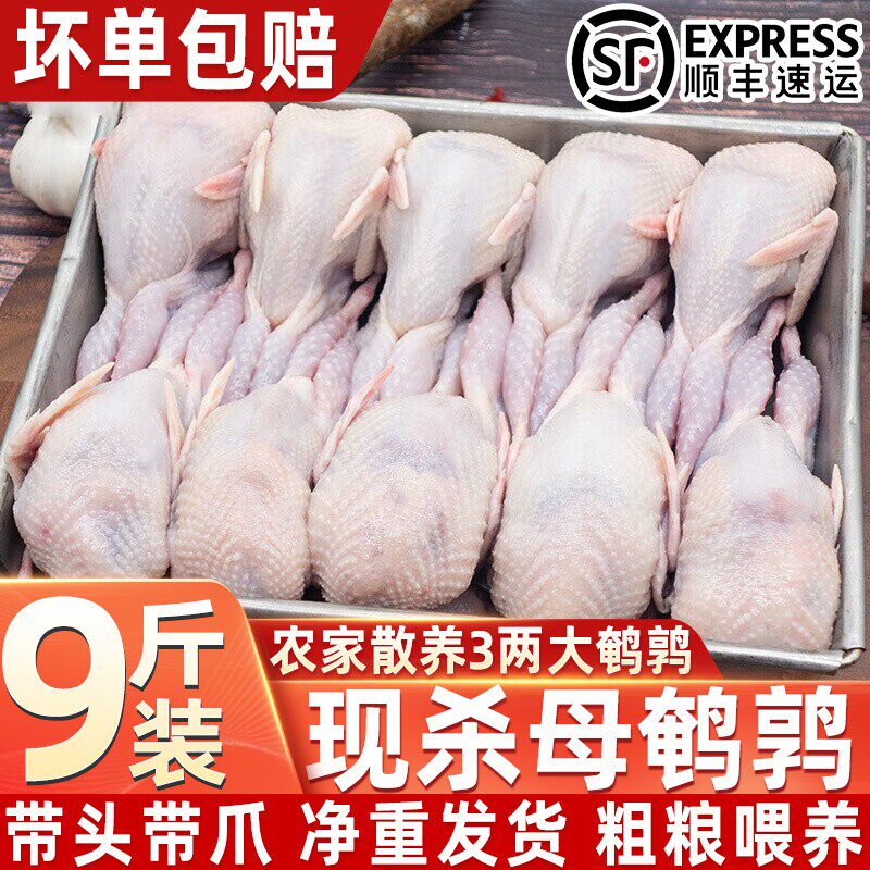 30只大号白条鹌鹑速冻现杀顺丰