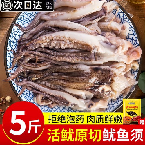 新鲜鱿鱼须鲜活冷冻二本足