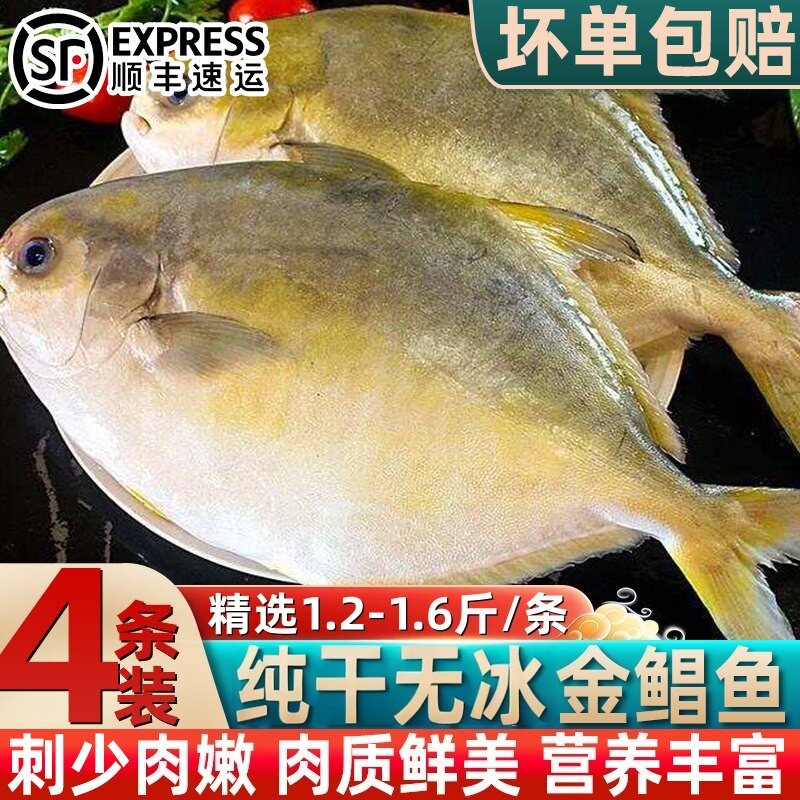 新鲜金鲳鱼特大深海海鲜