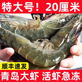 青岛大虾鲜活超大基围虾冷冻青虾速冻特大海虾对虾新鲜海鲜水产
