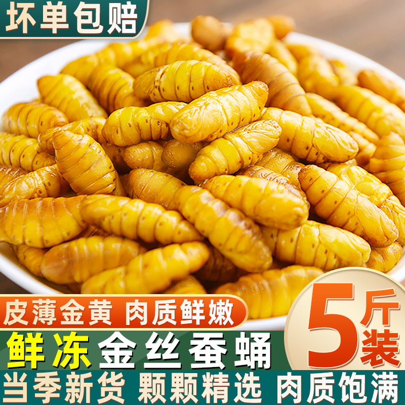 金丝大蝉蛹鲜活冷冻山东特产桑蚕蛹子速冻生茧蛹烧烤农家新鲜食用