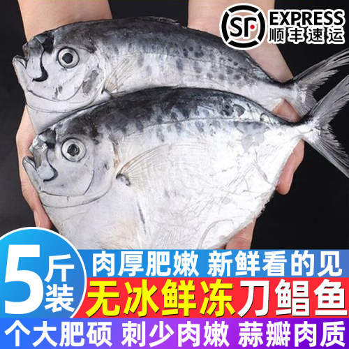 海捕新鲜冷冻整箱鲳鱼