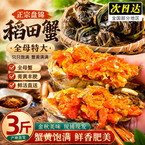 河蟹盘锦河蟹母蟹盘锦稻田蟹活蟹螃蟹黄多肉肥活蟹礼盒死蟹包赔