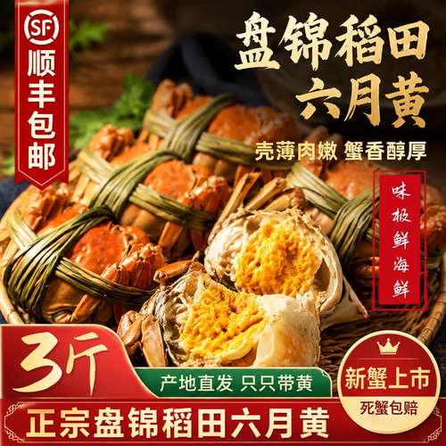 盘锦六月黄鲜活河蟹直发顺丰
