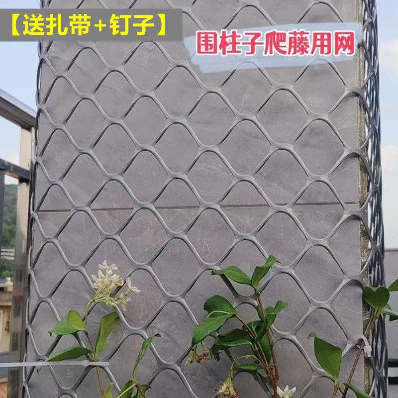 植物爬藤网山乌龟藤蔓植物上墙网月季花墙牵引网绿萝包水管塑料网,五金/工具,安全网,淘宝优惠券,粉丝福利购,淘宝优惠卷