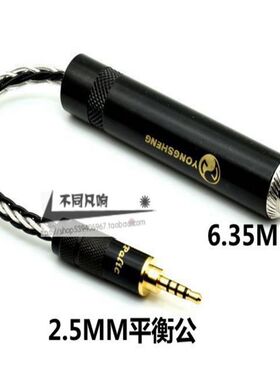 2.5平衡公转6.35母转接线6.5公转3.5 4.4平衡公转换线ak240 ak380