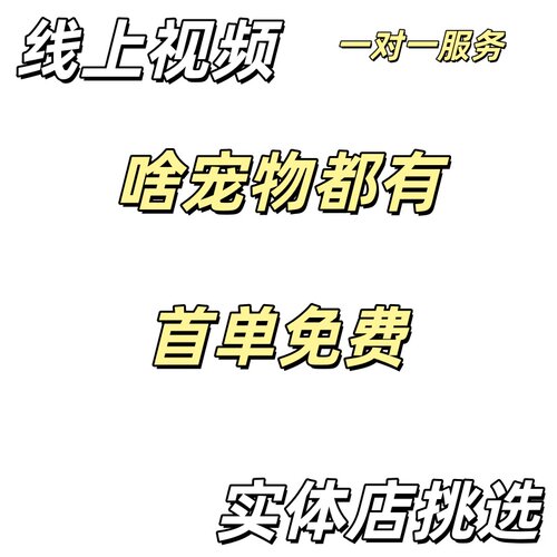 宠物训练咨询免费