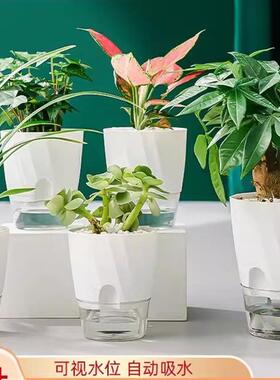 Plant automatic water absorbing flowerpot plastic pot