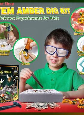 Fly Excavation Kit Amber Excavation Science Toys Interactive