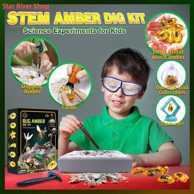 Fly Excavation Kit Amber Excavation Science Toys Interactive
