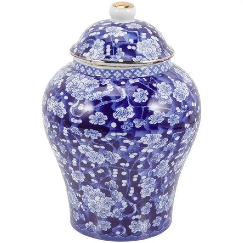 Condiment Blue White Porcelain Jar Chinese Vase Oriental