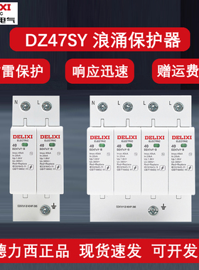 德力西DZ47SY浪涌防雷击保护器2P家用220V避雷器40KA65KA三相380V