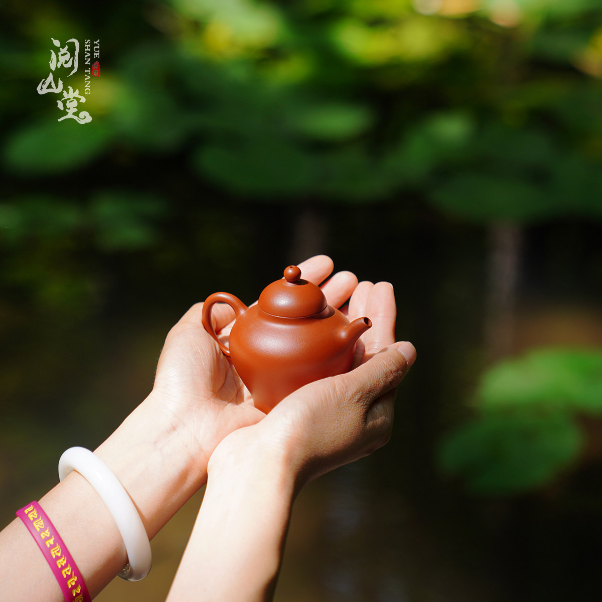 阅山堂 | 浣碧壶 仿清代纯生砂朱泥 饱满丰腴 林隐手制