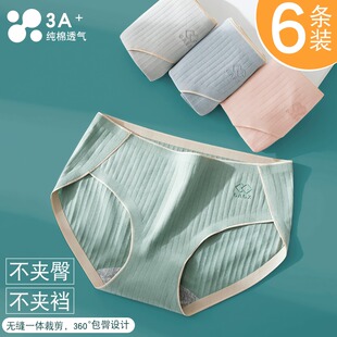 女士纯棉内裤夏季薄款全棉抗菌短裤中低腰少女三角裤头高弹新疆棉