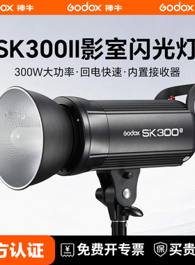 Godox 神牛SK300 W II摄影闪光灯300W人像静物证件照影棚室内补光灯影室影楼拍摄拍照打光灯单反相机三灯套餐