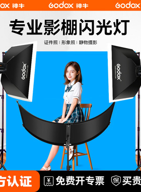 Godox 神牛小先锋200W闪光灯专业室内160W摄影棚灯摄影拍照照相补光灯拍摄人像证件照静物产品打光灯