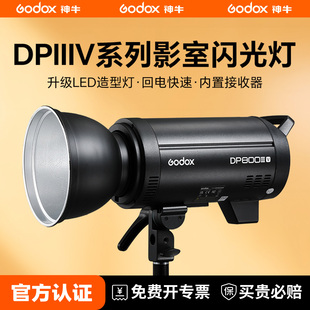 拍照600W影室灯专业拍摄闪光灯 1000大功率影棚室内人像模特静物服装 神牛DP400IIIV四代摄影闪光灯DP600 800