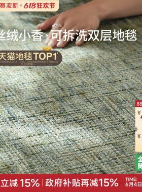赛波斯丝绒小香系列双层地毯绿色可拆洗客厅沙发可机洗2026新款