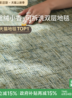 赛波斯丝绒小香系列双层地毯绿色可拆洗客厅沙发可机洗2026新款