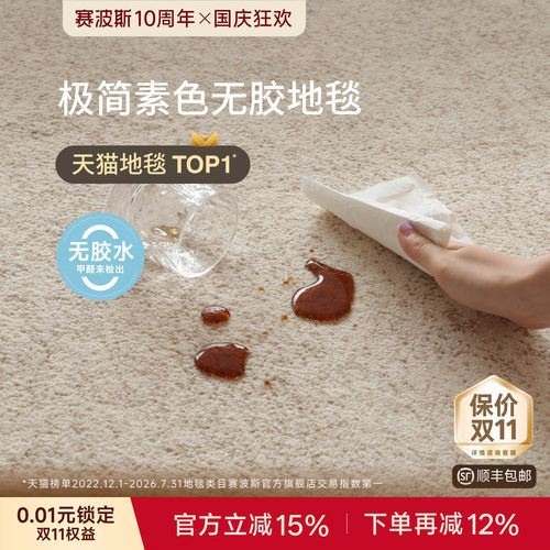 赛波斯素色极简客厅地毯无胶防水