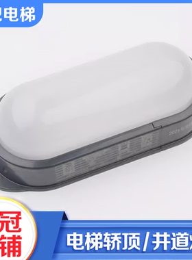 拉把电梯轿厢顶井道照明灯SALF-DZ12W/D DZ8W/D电压220V适用通力