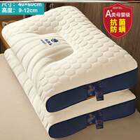 Five-star Hotel bed pillow soft healthy pillows latex thumbnail 6