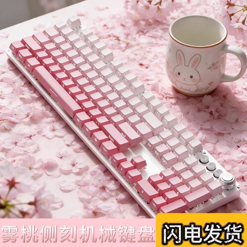 前行者无线机械键盘女生办公有线