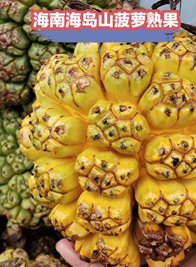 海南现摘新鲜勒古子天然露兜果山菠萝野菠萝凉茶果滴血莲花供批发