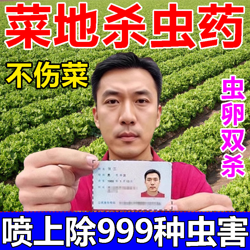 蔬菜地杀虫剂土壤杀虫剂