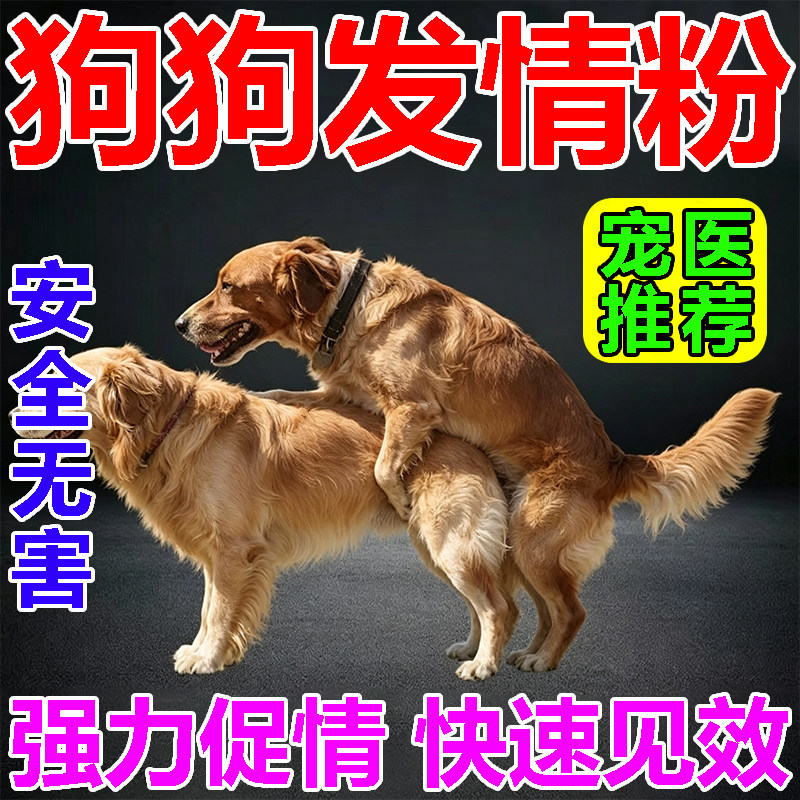 母狗发情剂狗狗发情粉配种粉狗狗发情交配神器专攻狗发情粉剂