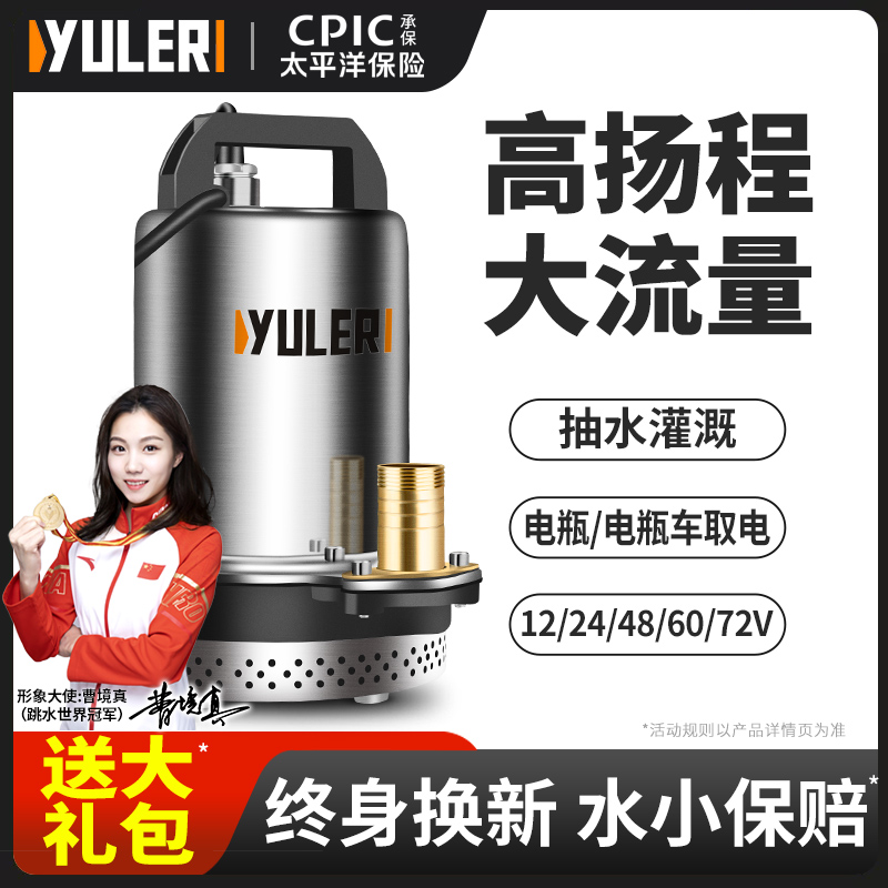 渝乐12V24V直流潜水泵48V60V72V电瓶电动车农用灌溉专用抽水泵机
