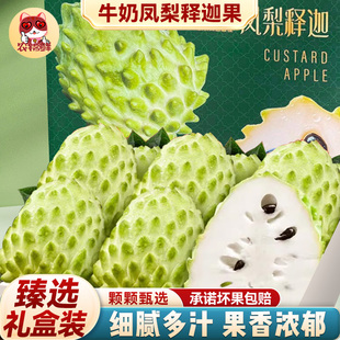 云南释迦果礼盒新鲜现摘热带水果番荔枝5斤大目凤梨牛奶佛头牟尼