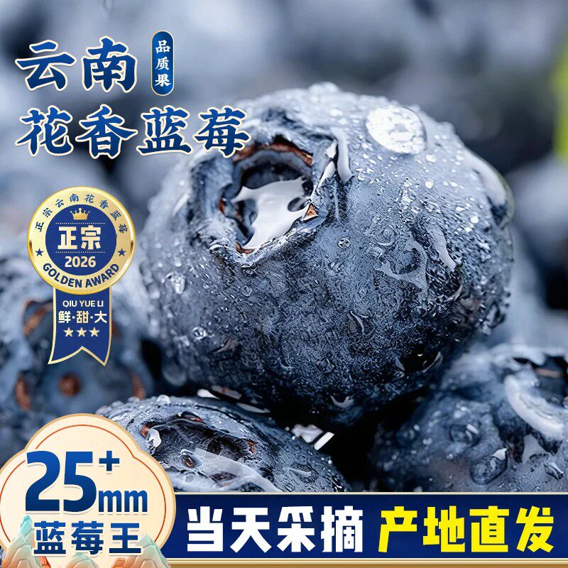云南花香蓝莓鲜果l25特大果礼盒新鲜水果高山整箱应季5斤旗舰店
