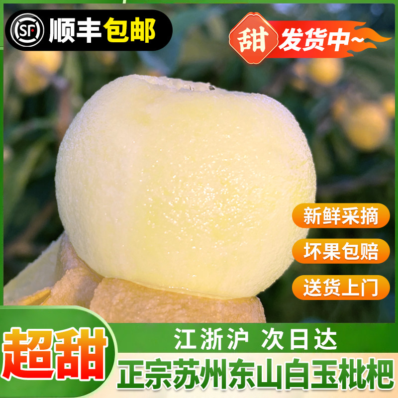 【现货速发】正宗苏州东山白玉枇杷果礼盒装大果新鲜水果白沙琵琶