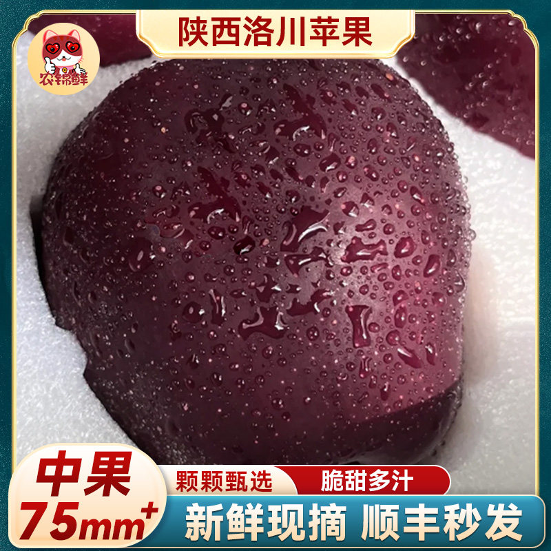 【单果75mm+】顺丰正宗甘肃黑卡苹果水果新鲜黑钻冰糖心正品现摘