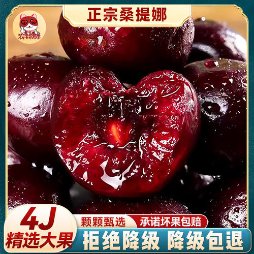 4j 智利进口车厘子桑提娜特大5斤3新鲜孕妇樱桃水果桑缇娜礼盒