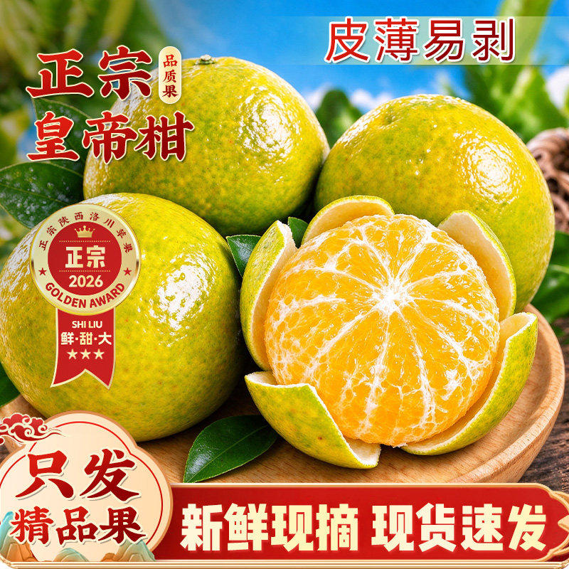 正宗广西皇帝柑,产地直发