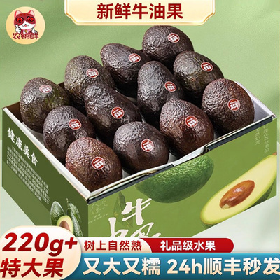 云南哈斯牛油果新鲜水果15个即食国产一级鳄梨熟透大果官方旗舰店