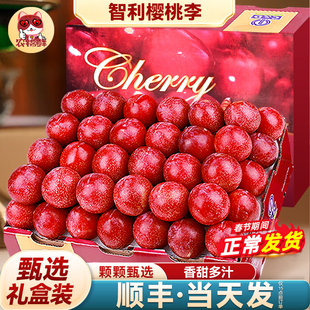 智利樱桃李5斤新鲜珠宝李应当季水果进口李子西梅恐龙蛋大果整箱3