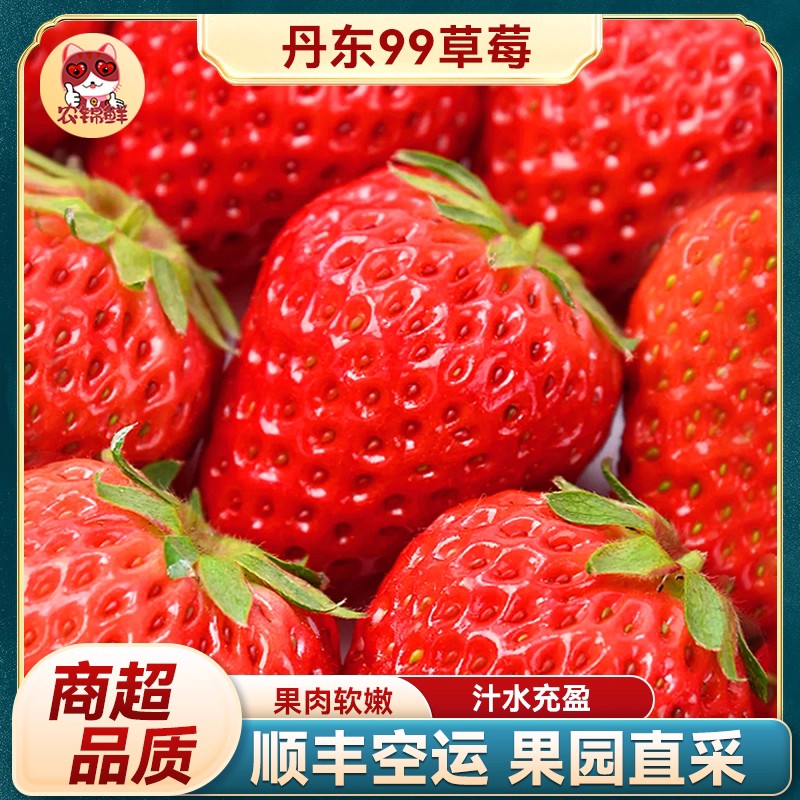 丹东99草莓新鲜水果整箱礼盒九九红颜奶油孕妇牛奶辽宁东港顺丰