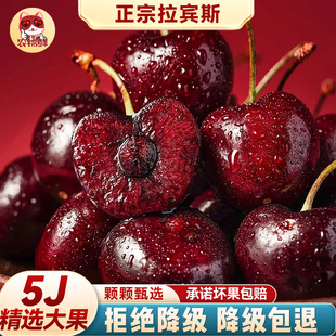 5j 智利进口车厘子拉宾斯特大34斤新鲜孕妇樱桃水果桑提娜礼盒
