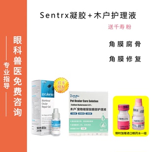 寵物滴眼液Sentrx角膜修復(fù)木戶玻尿酸貓狗眼睛角膜腐骨