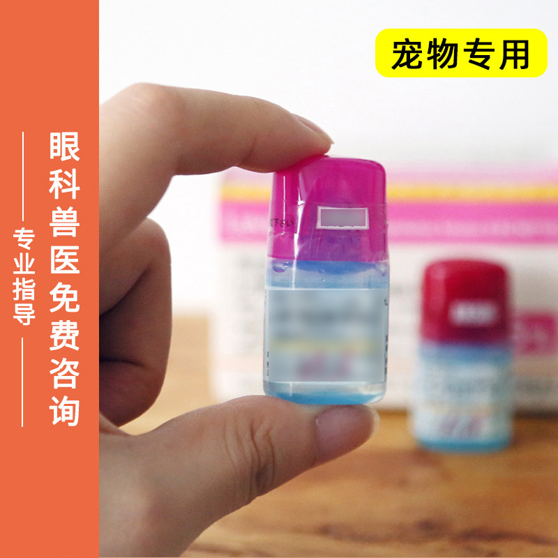 日本东亚宠物猫咪狗狗角膜结膜水肿滴眼液点眼液5ml